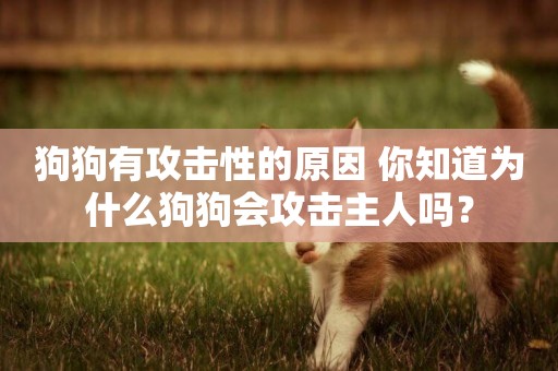 狗狗有攻擊性的原因 你知道為什么狗狗會攻擊主人嗎？