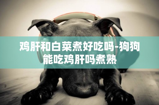 雞肝和白菜煮好吃嗎-狗狗能吃雞肝嗎煮熟