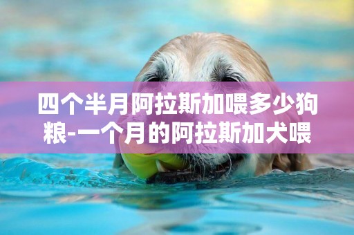 四個半月阿拉斯加喂多少狗糧-一個月的阿拉斯加犬喂多少狗糧