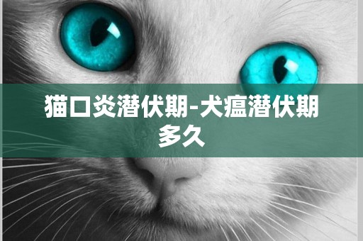 貓口炎潛伏期-犬瘟潛伏期多久