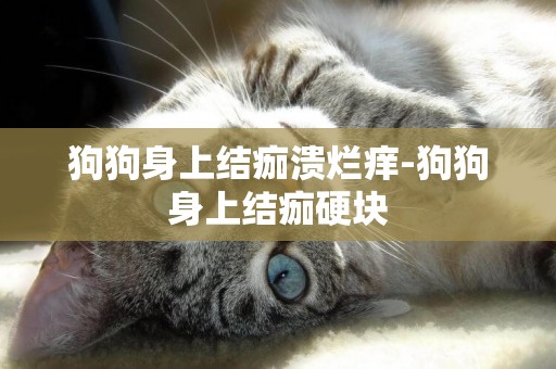 狗狗身上結痂潰爛癢-狗狗身上結痂硬塊