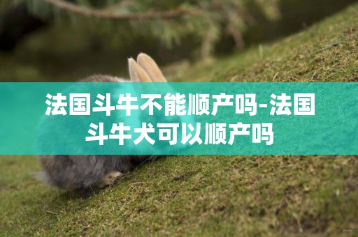 法國斗牛不能順產嗎-法國斗牛犬可以順產嗎