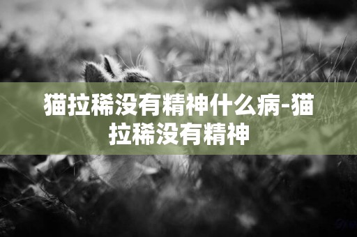 貓拉稀沒有精神什么病-貓拉稀沒有精神