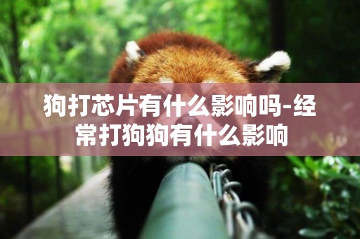 狗打芯片有什么影響嗎-經常打狗狗有什么影響