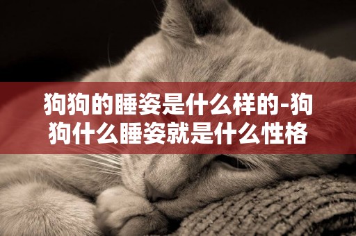 狗狗的睡姿是什么樣的-狗狗什么睡姿就是什么性格
