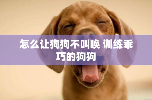 怎么讓狗狗不叫喚 訓練乖巧的狗狗