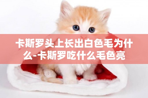 卡斯羅頭上長出白色毛為什么-卡斯羅吃什么毛色亮