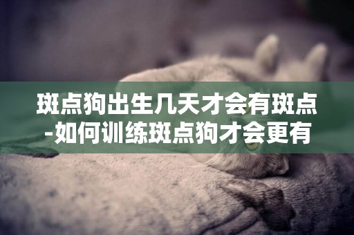 斑點狗出生幾天才會有斑點-如何訓練斑點狗才會更有效率