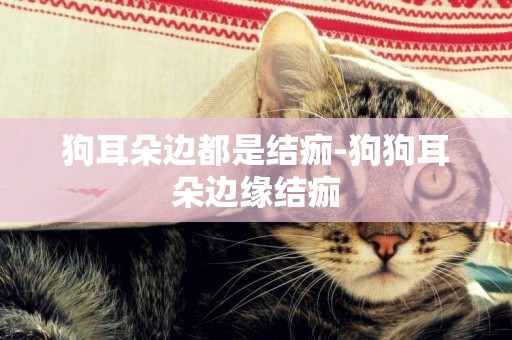 狗耳朵邊都是結痂-狗狗耳朵邊緣結痂