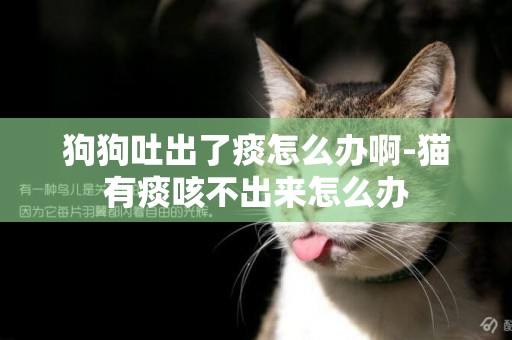 狗狗吐出了痰怎么辦啊-貓有痰咳不出來怎么辦