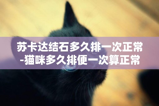 蘇卡達結石多久排一次正常-貓咪多久排便一次算正常