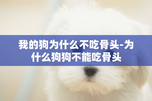 我的狗為什么不吃骨頭-為什么狗狗不能吃骨頭