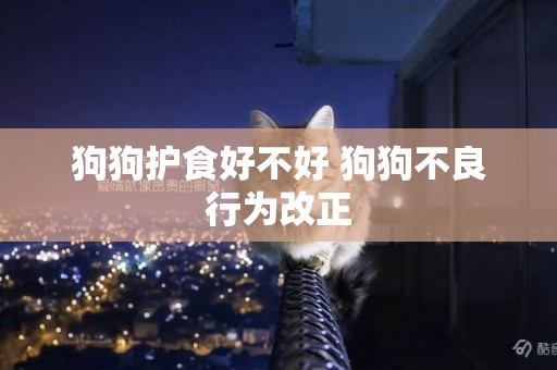 狗狗護食好不好 狗狗不良行為改正