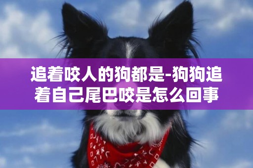 追著咬人的狗都是-狗狗追著自己尾巴咬是怎么回事