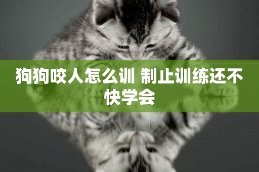 狗狗咬人怎么訓 制止訓練還不快學會
