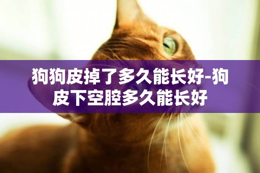 狗狗皮掉了多久能長好-狗皮下空腔多久能長好