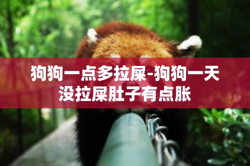 狗狗一點多拉屎-狗狗一天沒拉屎肚子有點脹