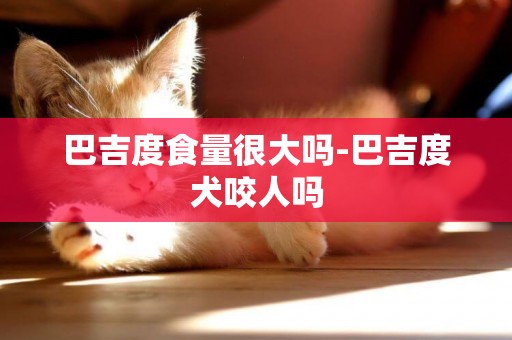 巴吉度食量很大嗎-巴吉度犬咬人嗎