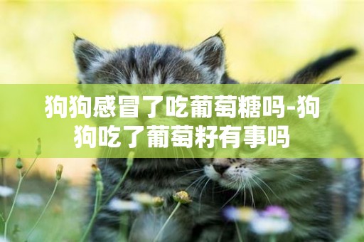 狗狗感冒了吃葡萄糖嗎-狗狗吃了葡萄籽有事嗎