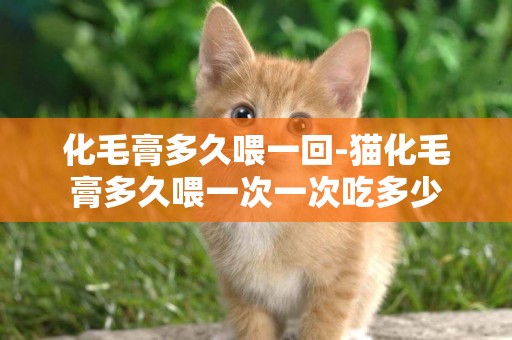 化毛膏多久喂一回-貓化毛膏多久喂一次一次吃多少