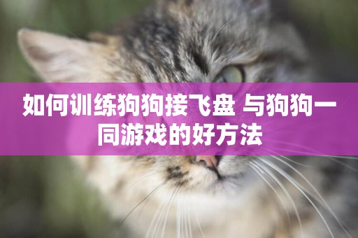 如何訓練狗狗接飛盤 與狗狗一同游戲的好方法