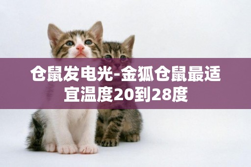 倉鼠發電光-金狐倉鼠最適宜溫度20到28度