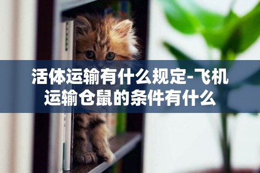 活體運輸有什么規定-飛機運輸倉鼠的條件有什么