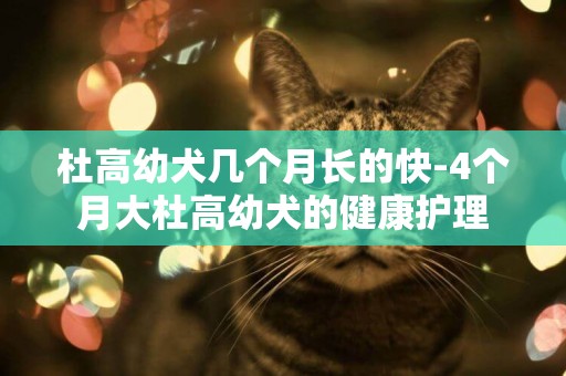 杜高幼犬幾個月長的快-4個月大杜高幼犬的健康護理