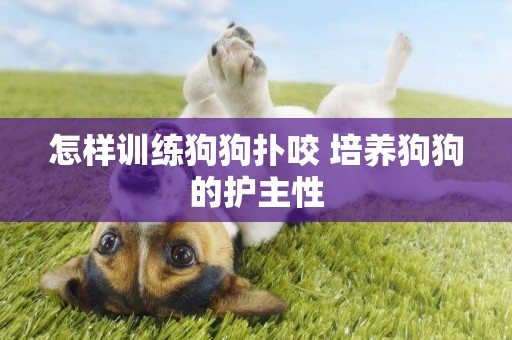 怎樣訓練狗狗撲咬 培養狗狗的護主性