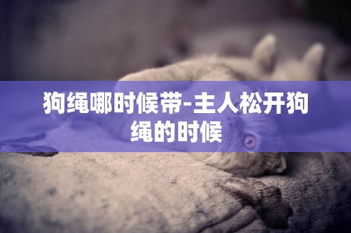 狗繩哪時候帶-主人松開狗繩的時候