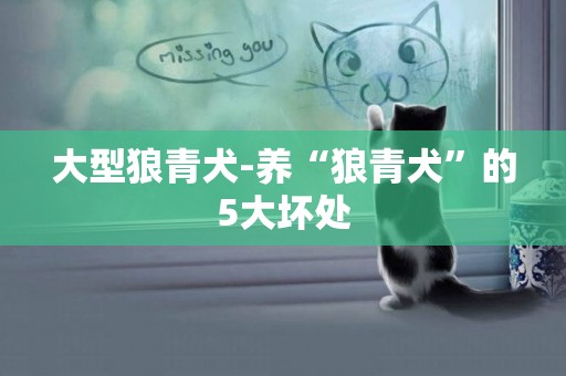 大型狼青犬-養“狼青犬”的5大壞處