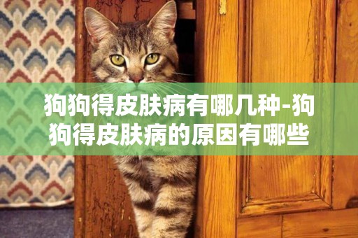 狗狗得皮膚病有哪幾種-狗狗得皮膚病的原因有哪些
