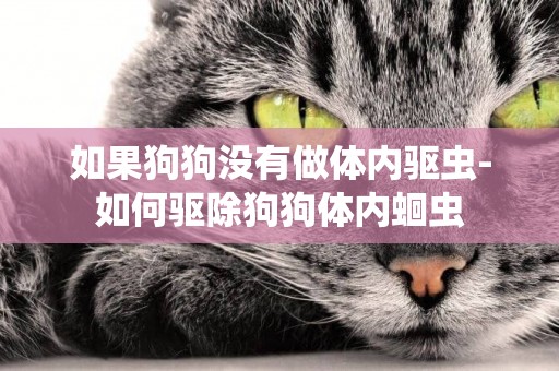 如果狗狗沒有做體內驅蟲-如何驅除狗狗體內蛔蟲