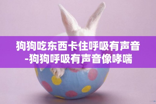 狗狗吃東西卡住呼吸有聲音-狗狗呼吸有聲音像哮喘