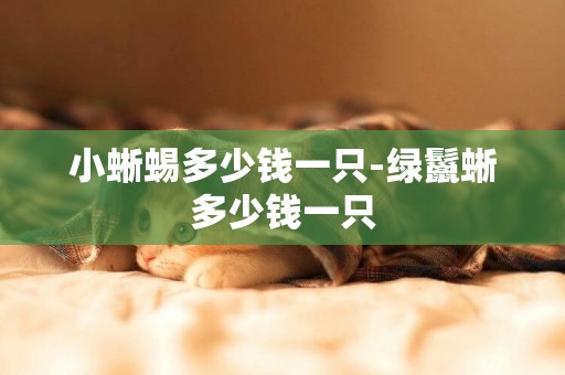 小蜥蜴多少錢一只-綠鬣蜥多少錢一只