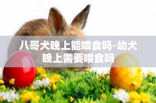 八哥犬晚上能喂食嗎-幼犬晚上需要喂食嗎