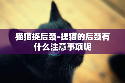 貓貓撓后頸-提貓的后頸有什么注意事項呢