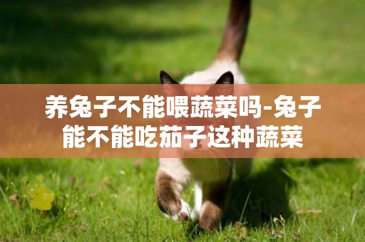 養兔子不能喂蔬菜嗎-兔子能不能吃茄子這種蔬菜