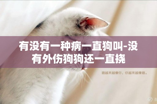 有沒有一種病一直狗叫-沒有外傷狗狗還一直撓