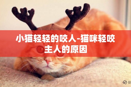 小貓輕輕的咬人-貓咪輕咬主人的原因