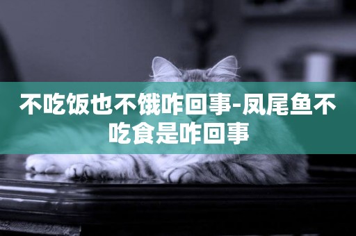 不吃飯也不餓咋回事-鳳尾魚不吃食是咋回事