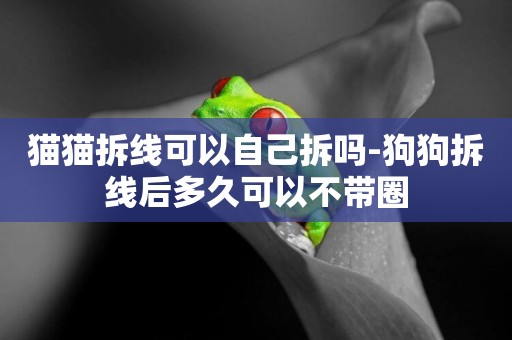 貓貓拆線可以自己拆嗎-狗狗拆線后多久可以不帶圈