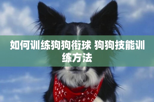 如何訓練狗狗銜球 狗狗技能訓練方法