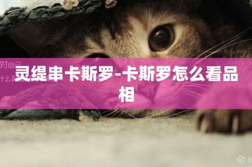 靈緹串卡斯羅-卡斯羅怎么看品相