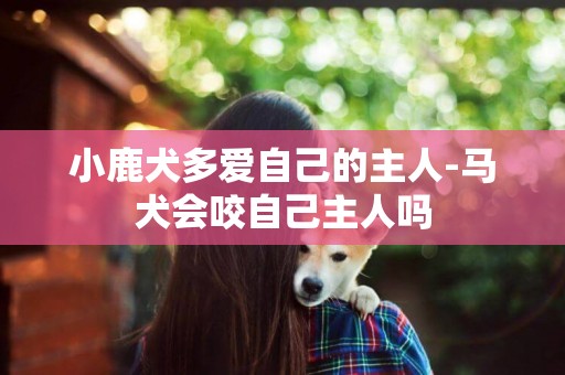 小鹿犬多愛自己的主人-馬犬會咬自己主人嗎