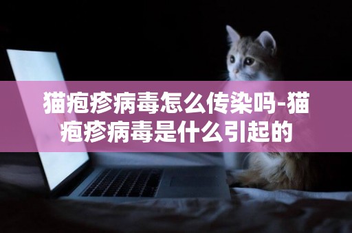 貓皰疹病毒怎么傳染嗎-貓皰疹病毒是什么引起的
