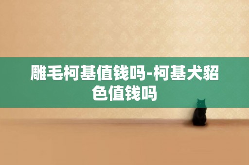 雕毛柯基值錢嗎-柯基犬貂色值錢嗎