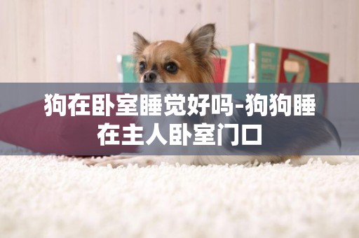 狗在臥室睡覺好嗎-狗狗睡在主人臥室門口