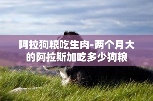 阿拉狗糧吃生肉-兩個月大的阿拉斯加吃多少狗糧