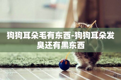 狗狗耳朵毛有東西-狗狗耳朵發臭還有黑東西